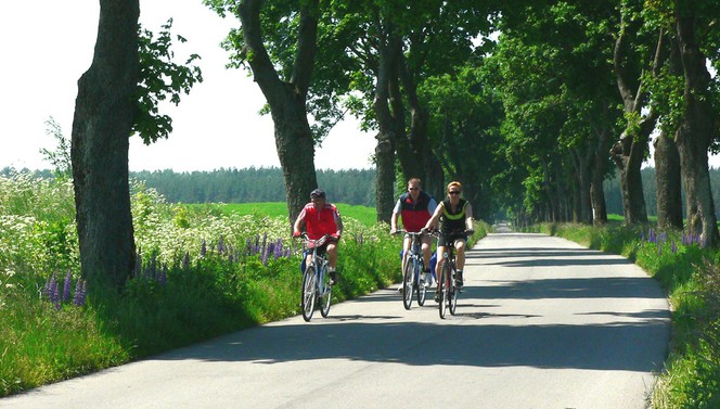 Brabant Land des Radfährer